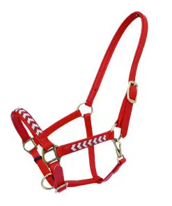 Different Colors Biothane Nosebands