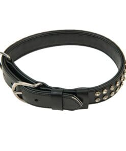 Dog Collars