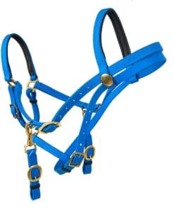 Альтернативный вид Bright Blue Horse Bridle/Halter with Gold Hardware