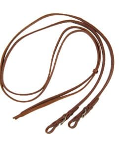 Reins