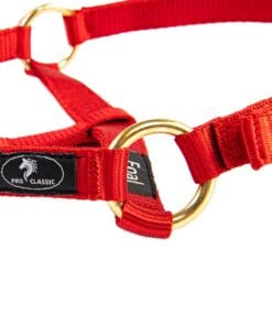 Альтернативный вид Red Foal Halter with Leather and Rhinestones
