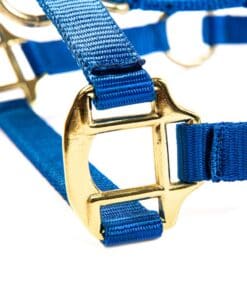 Альтернативный вид Blue Nylon Horse Halter with Gold Buckles
