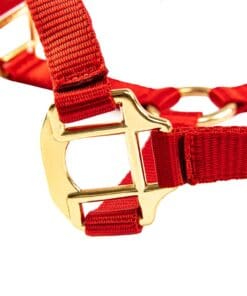 Альтернативный вид Red Nylon Horse Halter – Small Size