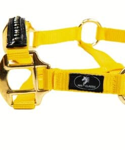 Альтернативный вид Yellow Foal Halter with Leather and Rhinestones
