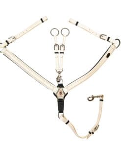 Premium Pro Classic Horse Collar β Biothane Breastplate with Martingale and Stainless Hardware