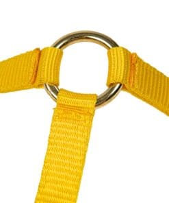 Альтернативный вид Yellow Horse Halter