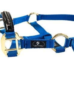 Альтернативный вид Blue Horse Halter with Leather Accents