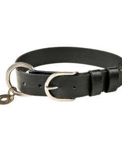 Альтернативный вид Dog Collar 4181 Single