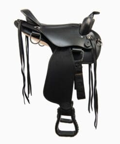 Альтернативный вид Black Western Saddle